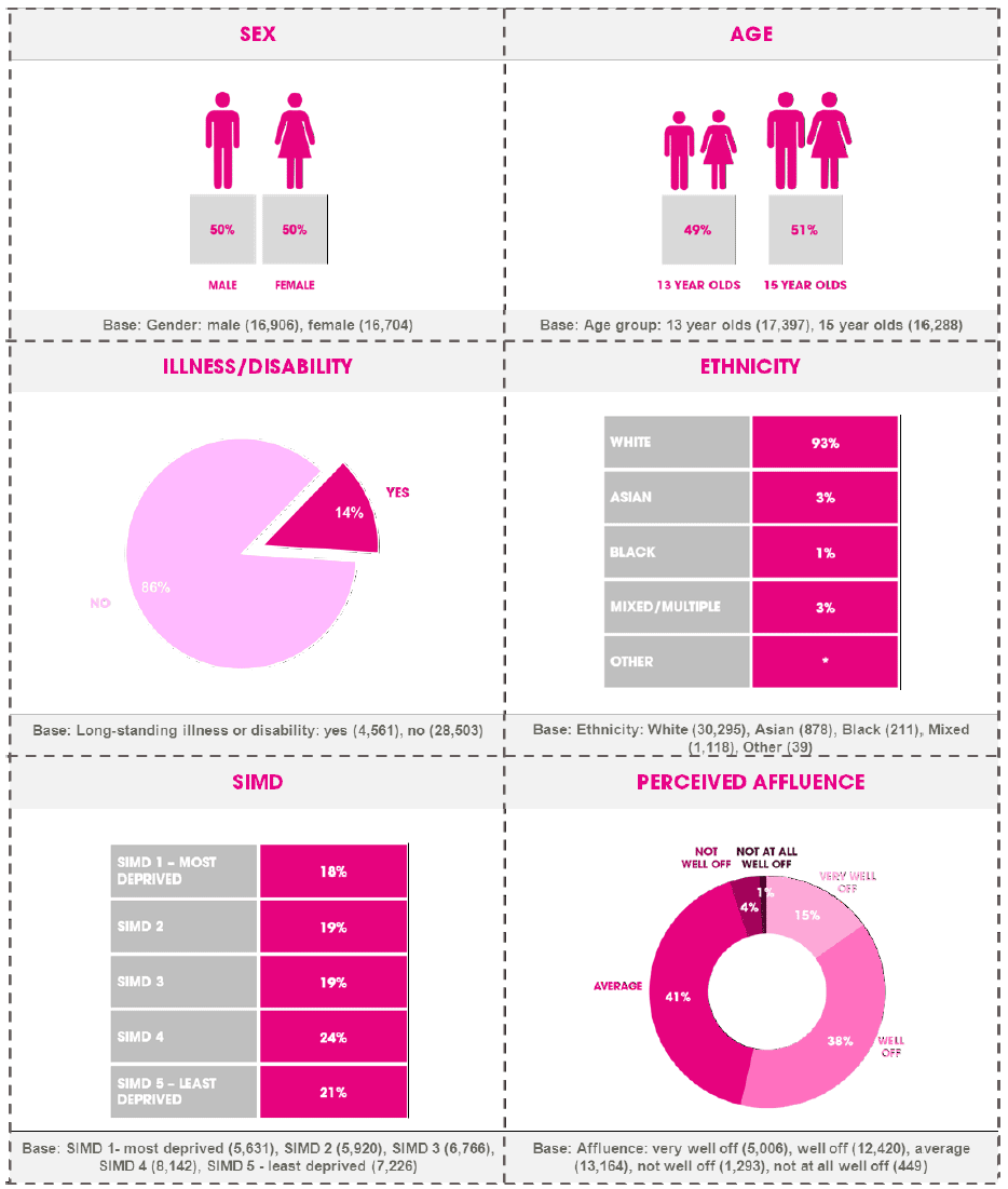 Figure 4.1 – Pupil breakdown of equalities variables, 2013