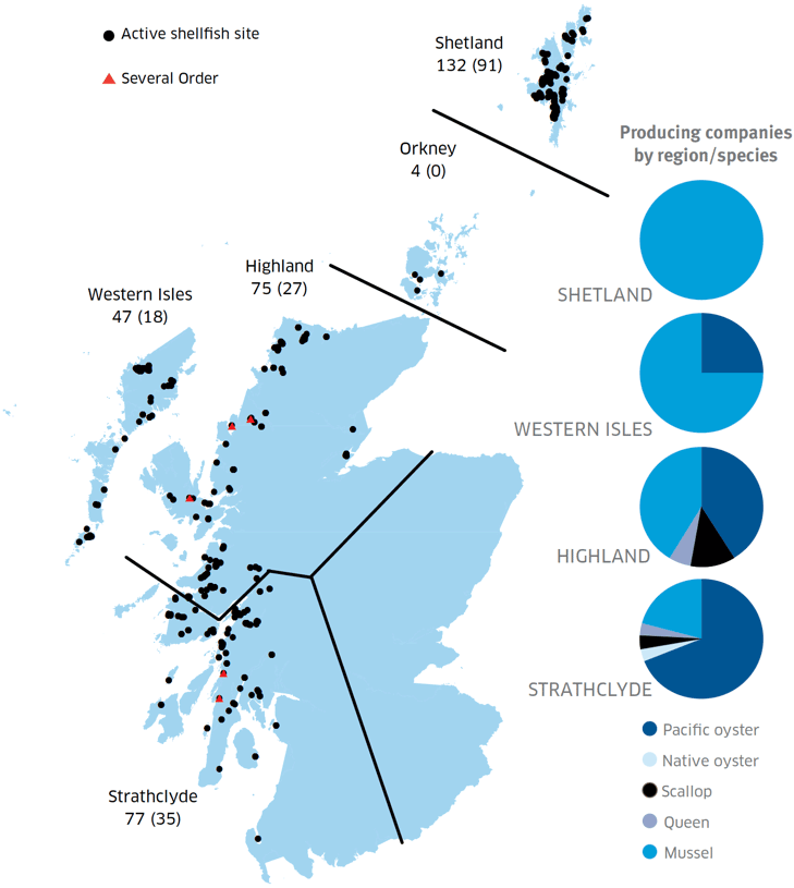 Figure 2: Regional distribution of active shellfish sites in 2015 (number producing given in brackets) and number of producing businesses by REGION/species Figure 2: Regional distribution of active shellfish sites in 2015 (number producing given in brackets) and number of producing businesses by REGION/species