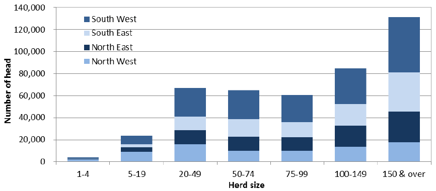 Chart 5.6: Beef cows by region and herd-size group, June 2015 Chart 5.6: Beef cows by region and herd-size group, June 2015