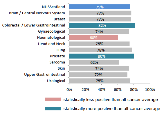 Figure 10: % understanding explanation of what was wrong, by tumour group Figure 10: % understanding explanation of what was wrong, by tumour group