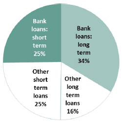 Liabilities by type 2015