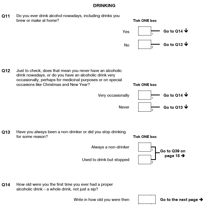 Self-completion booklet for young adults