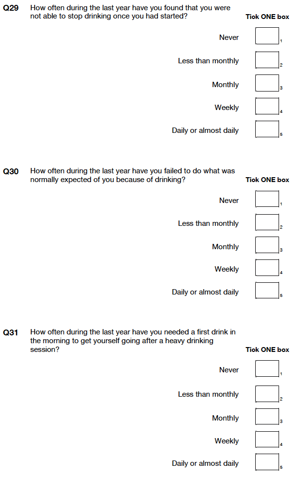 Self-completion booklet for young adults