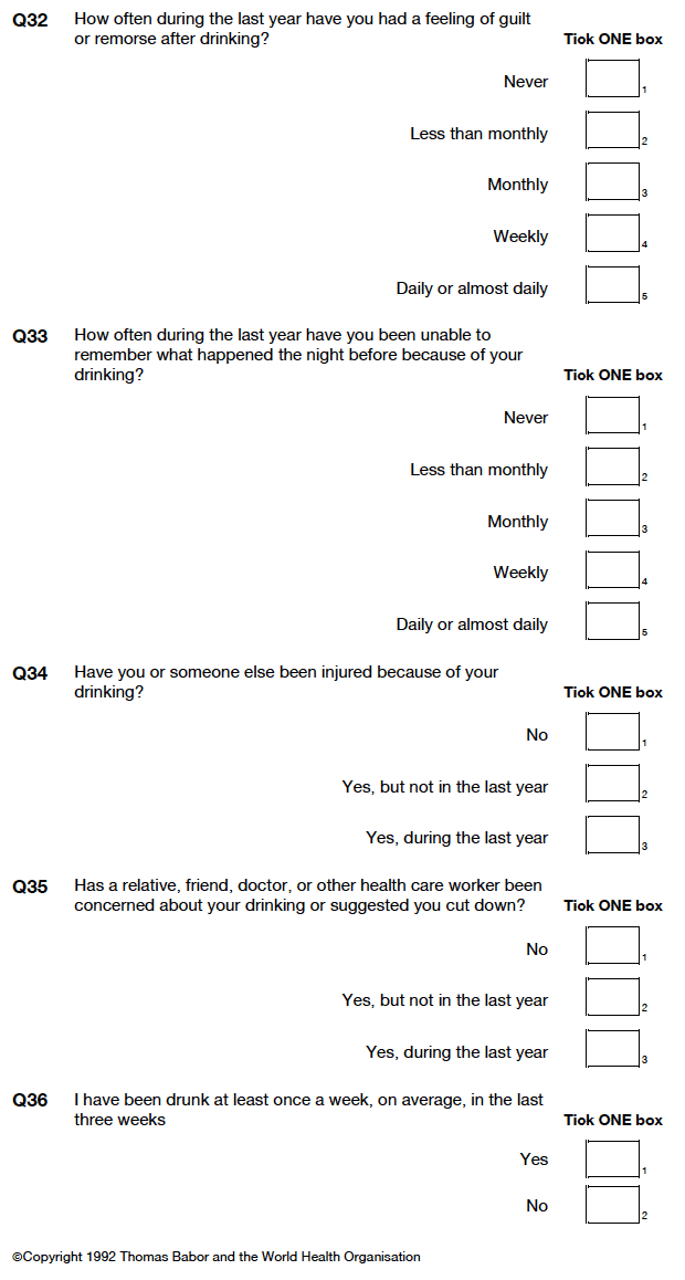 Self-completion booklet for young adults