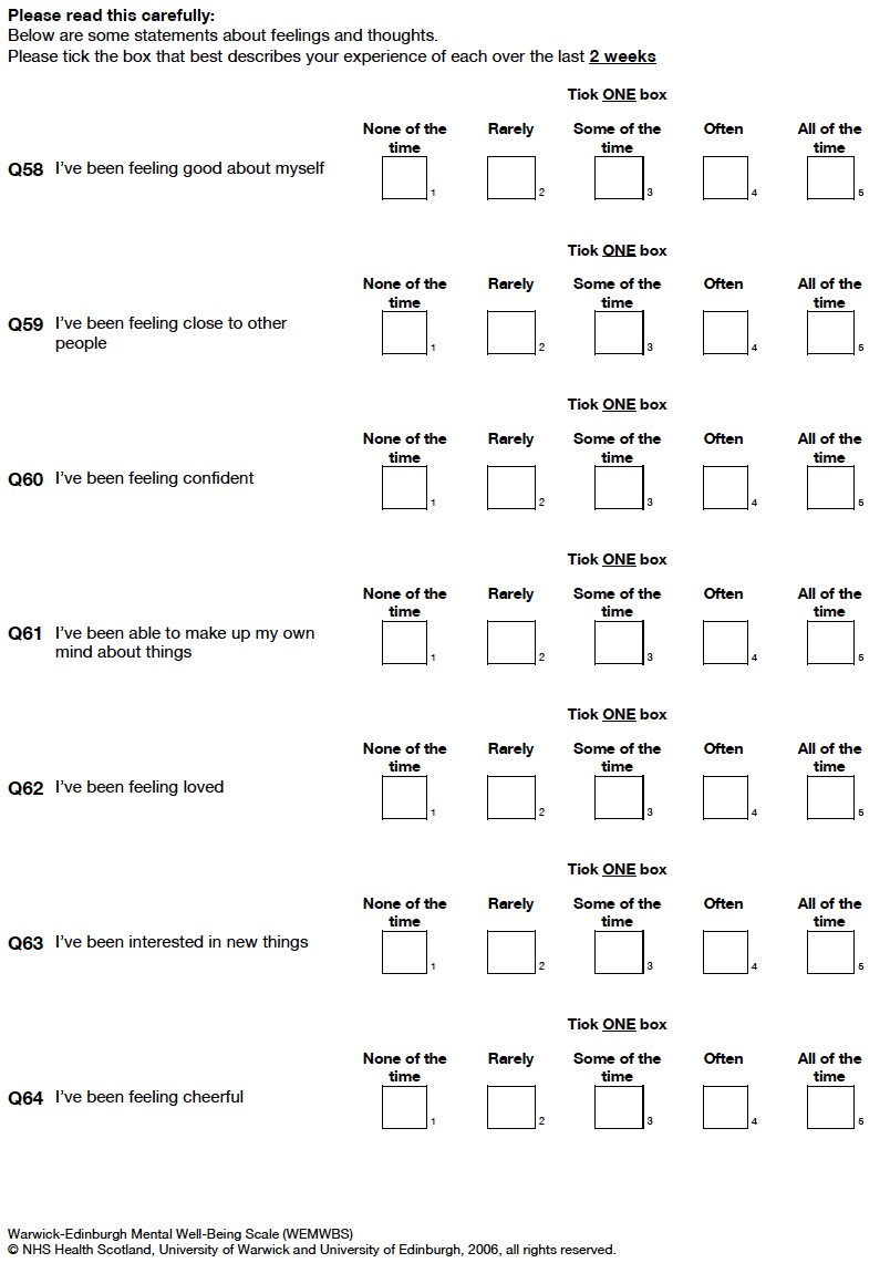 Self-completion booklet for young adults