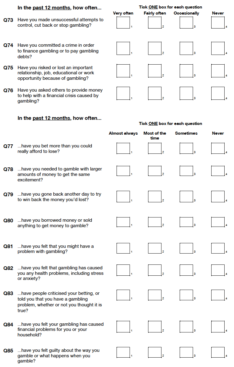 Self-completion booklet for young adults