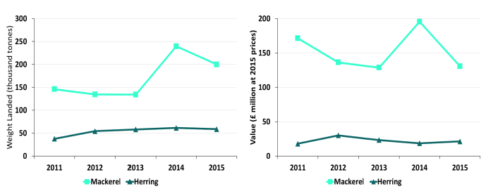 Chart 1.5.b Quantity and value of landings of the key pelagic species by Scottish vessels: 2011 to 2015 Chart 1.5.b Quantity and value of landings of the key pelagic species by Scottish vessels: 2011 to 2015