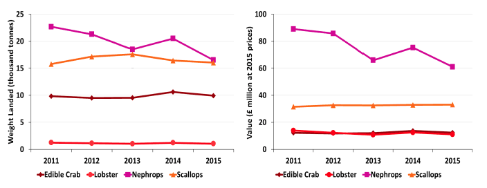 Chart 1.5.c Quantity and value of landings of the key shellfish species by Scottish vessels: 2011 to 2015 Chart 1.5.c Quantity and value of landings of the key shellfish species by Scottish vessels: 2011 to 2015