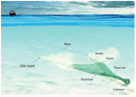 Trawling Trawling