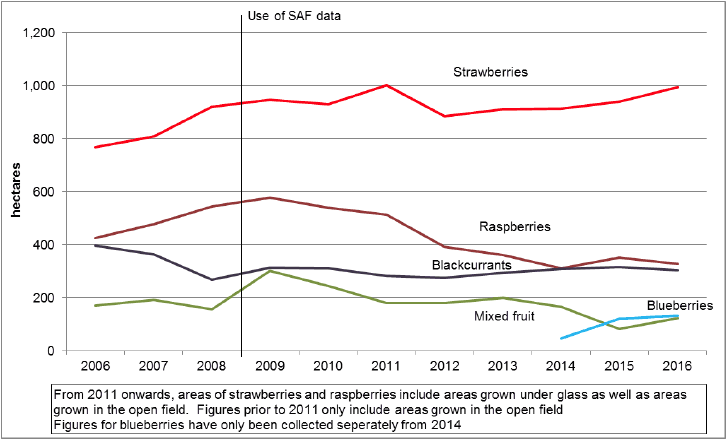 Chart 11: Soft fruit trends (both open field and plastic or glasshouse crops) 2006 to 2016