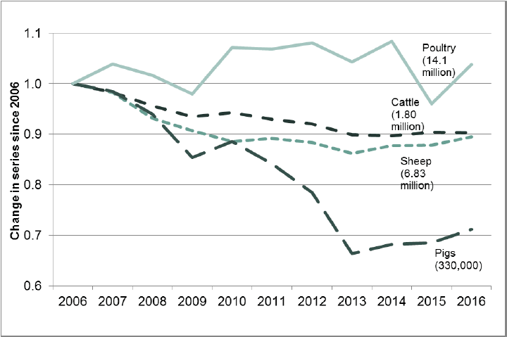Chart 12: Livestock indices, ten-year trends relative to 2006