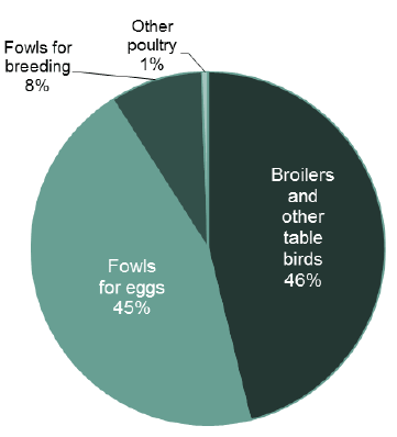 Chart 20: Poultary population, June 2016