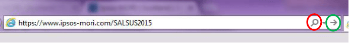 Figure 7.1 Example of survey link in web browser Figure 7.1 Example of survey link in web browser