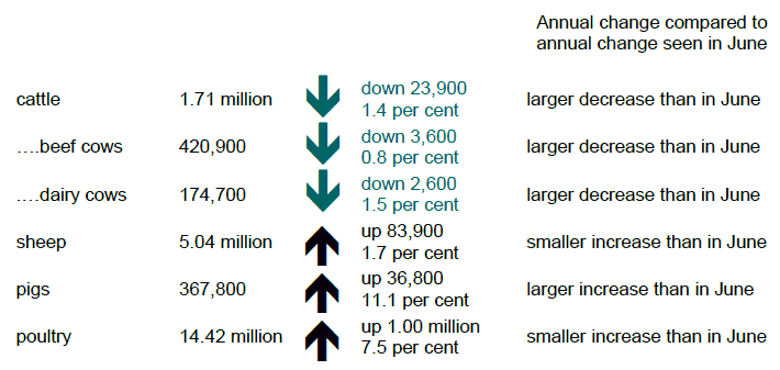 Annual change compared to annual change seen in June 