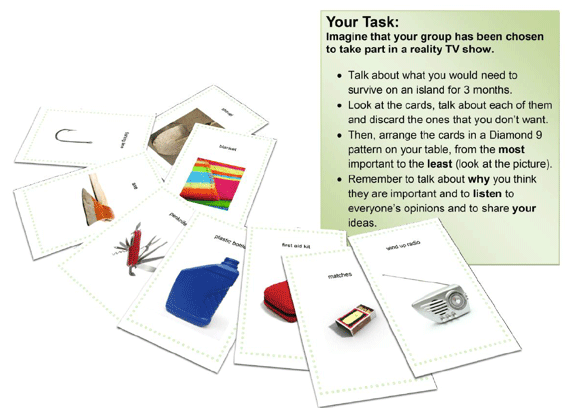 Figure 2: Example of Group Discussion Task 'Survival'