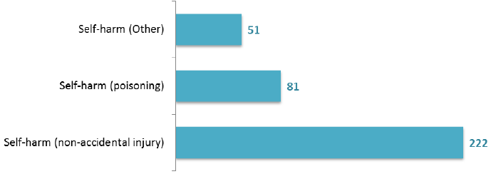Figure 20: Number of patients (aged 18+), by method of self-harm, March 2017 Census