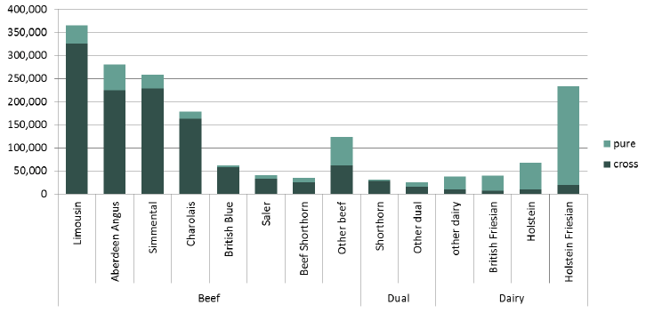 Chart 15: Cattle breeds, by use and whether pure-bred, June 2017