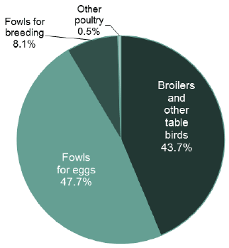Chart 21: Poultry population, June 2017