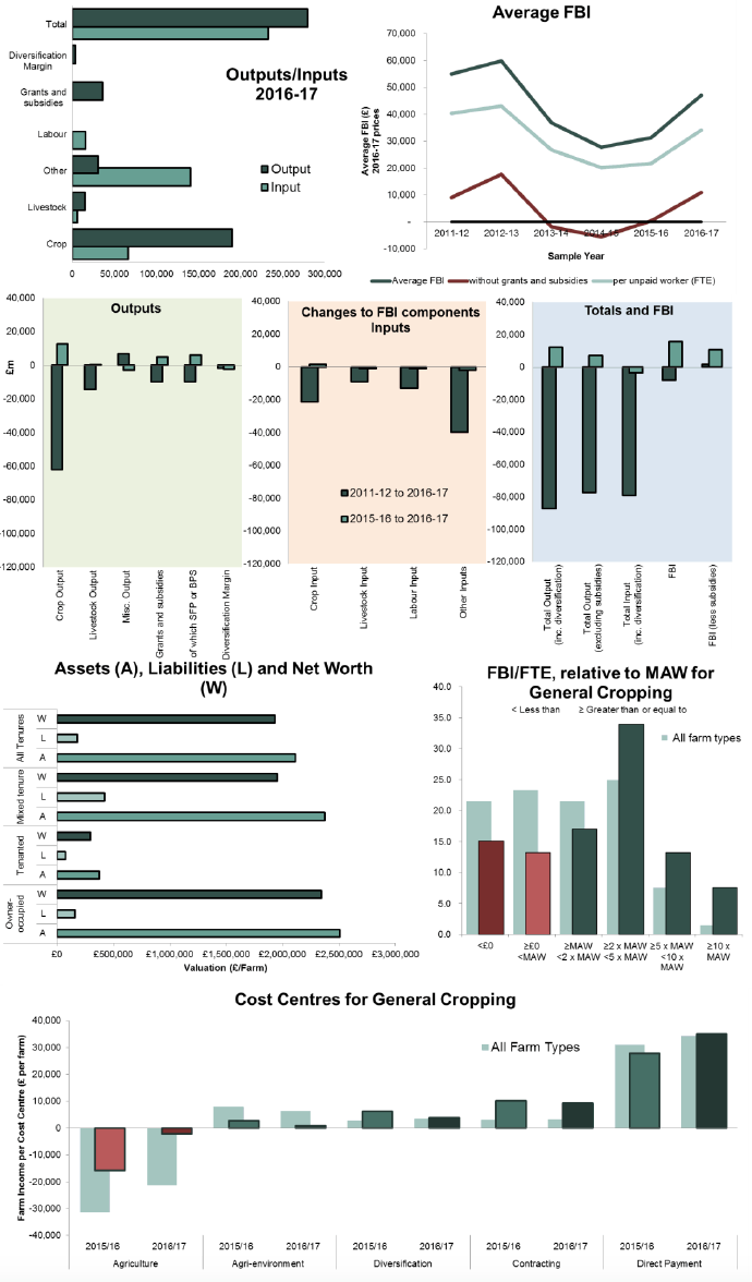 General Cropping Farms – FBI (2016-17): £47,000 