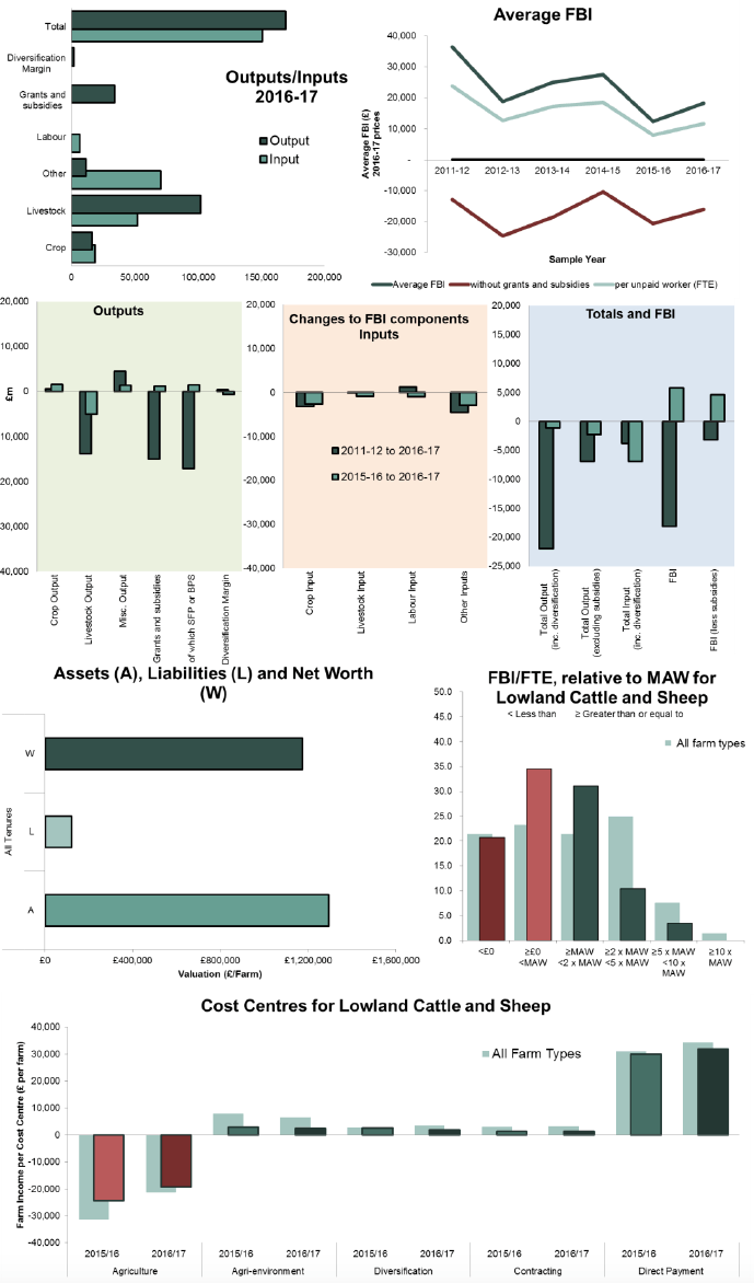 Lowland Cattle and Sheep Farms – FBI (2016-17): £18,300 