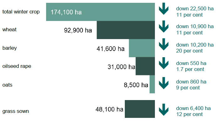 The areas planted in December 2017 decreased compared to the previous year, with barley down 20 per cent and wheat down 11 per cent. The area planted as winter barley was the lowest since the 1970s.