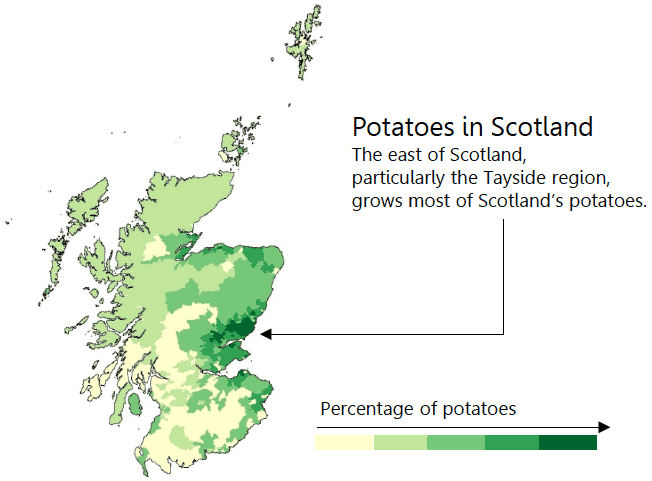 Potatoes in Scotland