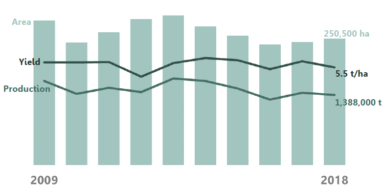 Spring barley production and yield dropped, despite increase in area Spring barley production and yield dropped, despite increase in area