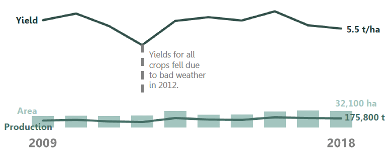 Slight drop in oats area, production and yield Slight drop in oats area, production and yield