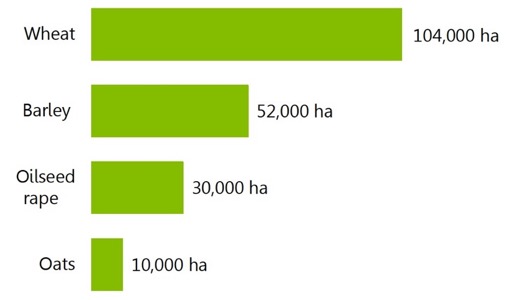 Hectares used to grow winter crops. Hectares used to grow winter crops.