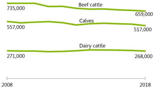Declining cattle numbers. Declining cattle numbers.