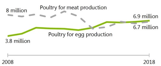 Poultry numbers. Poultry numbers.