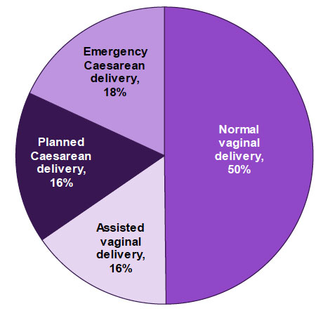 Figure 6.2: Type of birth