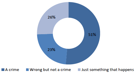 Figure 3.13: Victim's description of violent crime incidents experienced
