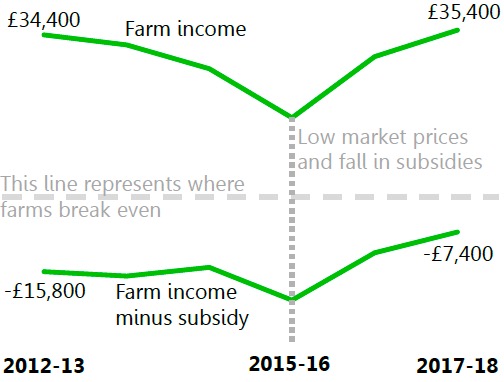 Farm business income rises but still dependent on support Farm business income rises but still dependent on support