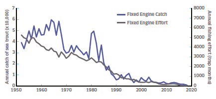 Figure 3, Fixed Engine Fishery.
