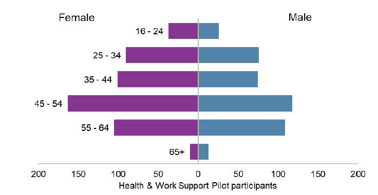 Figure 11: Age and gender profile of Health & Work Support enrolments, up to 29 March 2019
