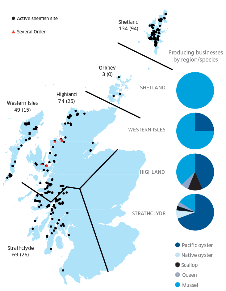 Figure 2: Regional distribution of active shellfish sites in 2018 (number producing given in brackets) and number of producing businesses by region/species