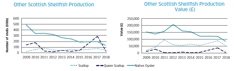 Other Scottish Shellfish Production / Other Scottish Shellfish Production Value (£)