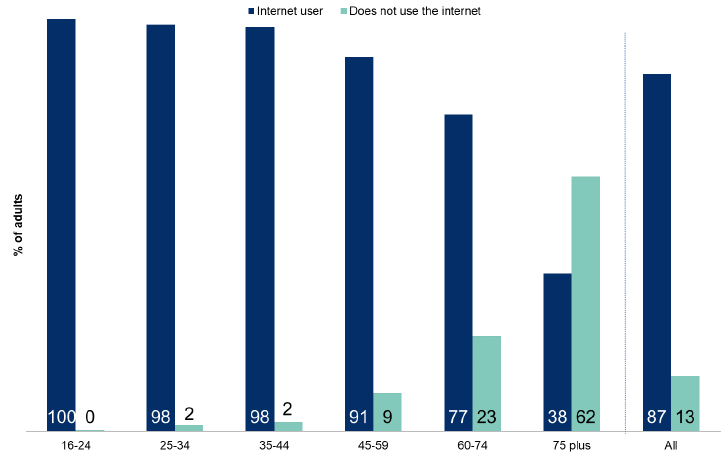Figure 7.8: Use of the internet by age