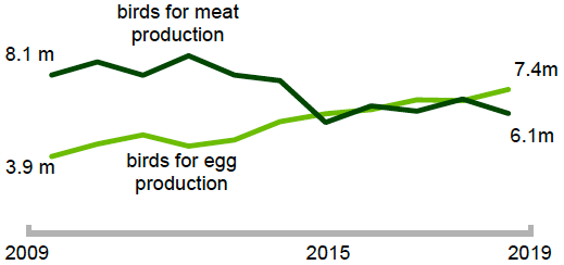 Number of poultry for egg and meat production