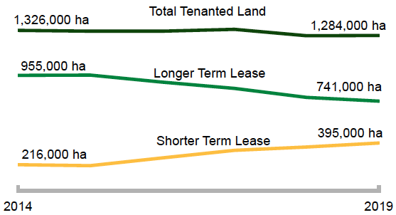 Area of rented land remains stable as shorter term tenancies increase