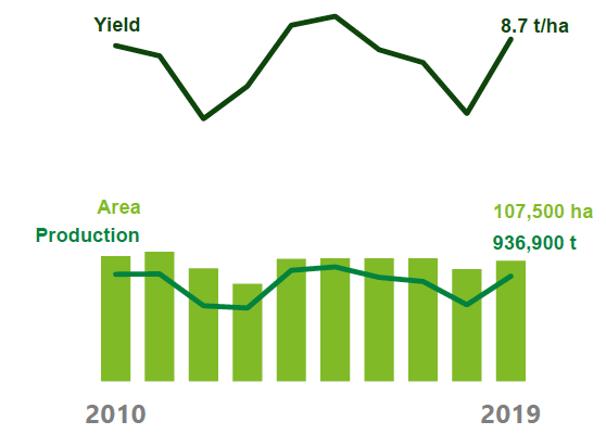 Large increase in wheat production and yield