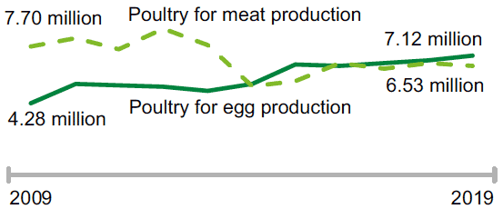 Poultry in Scotland