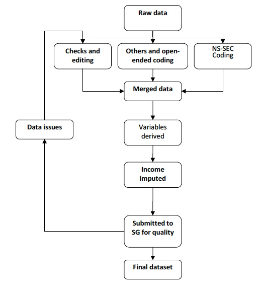 Figure 5.1: SHS social survey data processing procedures