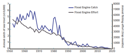 Figure 3 Fixed Engine Fishery
