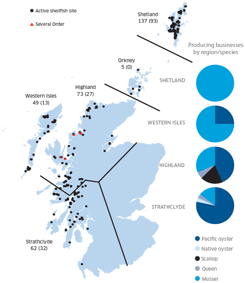 Figure 2 Regional distribution of active shellfish sites in 2019 (number producing given in brackets) and number of producing businesses by region/species.