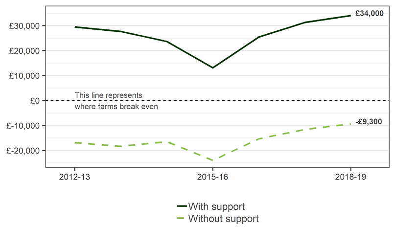A line chart showing average farm profitability between 2012-13 and 2018-19. The average profitability dropped in 2015-16 and increased again afterwards. In 2019, average farm income was £34,000 with support and -£9,200 without.