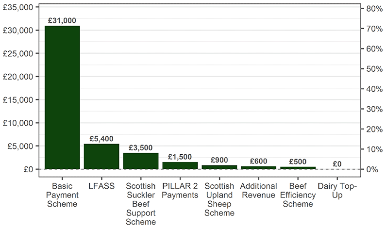 A column chart showing farm support sources. The vast majority comes from EU Common Agricultural Policy funding, with around £31,000 from the Basic Payment Scheme, followed by £5,400 from Less Favoured Area Support Scheme and £3,500 from the Scottish Suckler Beef Support Scheme. Smaller amounts come from Pillar 2 payments, the Scottish Upland Support Scheme, the Beef Efficiency Scheme, the Dairy Top-up and others.