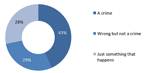 Chart showing Victim's description of violent crime incidents experienced