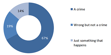 Chart showing Victim's description of property crime incidents experienced